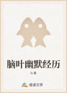 脑叶幽默经历