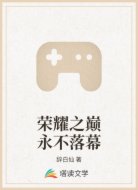 荣耀之巅永不落幕