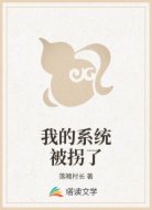 我的系统被拐了