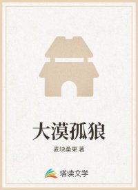 大漠孤狼