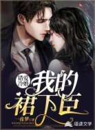 错爱冷婚：我的裙下臣