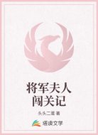 将军夫人闯关记
