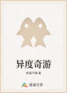 异度奇游