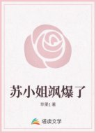 苏小姐飒爆了