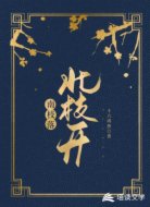 南枝落，北枝开