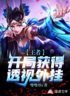 王者:開局獲得透視外掛