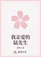 我亲爱的陆先生