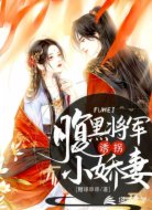 腹黑将军诱拐小娇妻