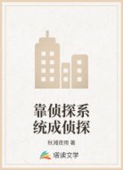 靠侦探系统成侦探