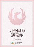 只是因为遇见你