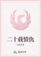 二十载情仇