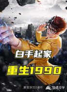 重生1990:白手起家