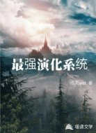 最强演化系统