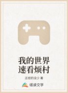 我的世界速看烦村