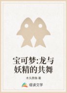 宝可梦:龙与妖精的共舞