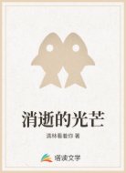 消逝的光芒