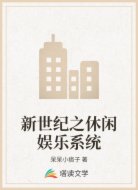 新世纪之休闲娱乐系统