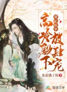 冒牌王妃她又美又飒