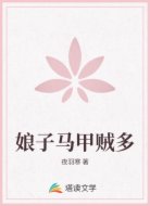娘子马甲贼多