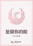 愿做你的眼