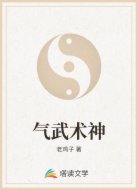 气武术神