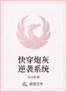 快穿炮灰逆袭系统