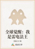 全球觉醒:我是雷电法王