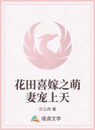 花田喜嫁之萌妻宠上天