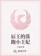 辰王的落跑小王妃