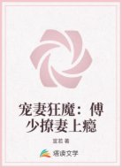 宠妻狂魔:傅少撩妻上瘾