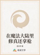 在魔法大陆里修真还拿枪