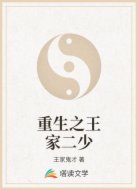重生之王家二少