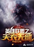 英雄联盟之天衣无缝
