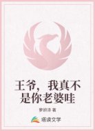 王爷，我真不是你老婆哇