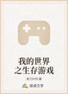 我的世界之生存游戏