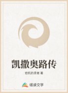 凯撒奥路传