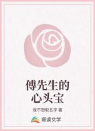 傅先生的心头宝