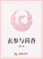 玄参与茴香