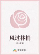 风过林梢