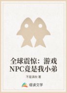 全球震惊:游戏NPC竟是我小弟