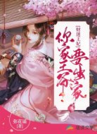 財迷王妃:你家王爺要出家