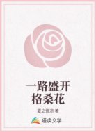 一路盛开格桑花