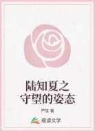 陆知夏之守望的姿态