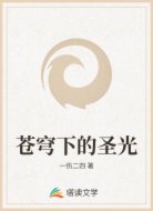苍穹下的圣光