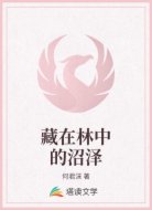 藏在林中的沼泽