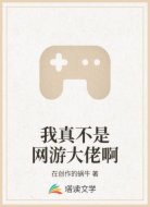 我真不是网游大佬啊