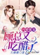 闪婚秘宠:顾总又吃醋了
