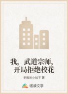 我，武道宗师，开局拒绝校花