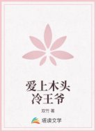 爱上木头冷王爷