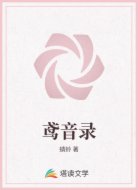 鸢音录
